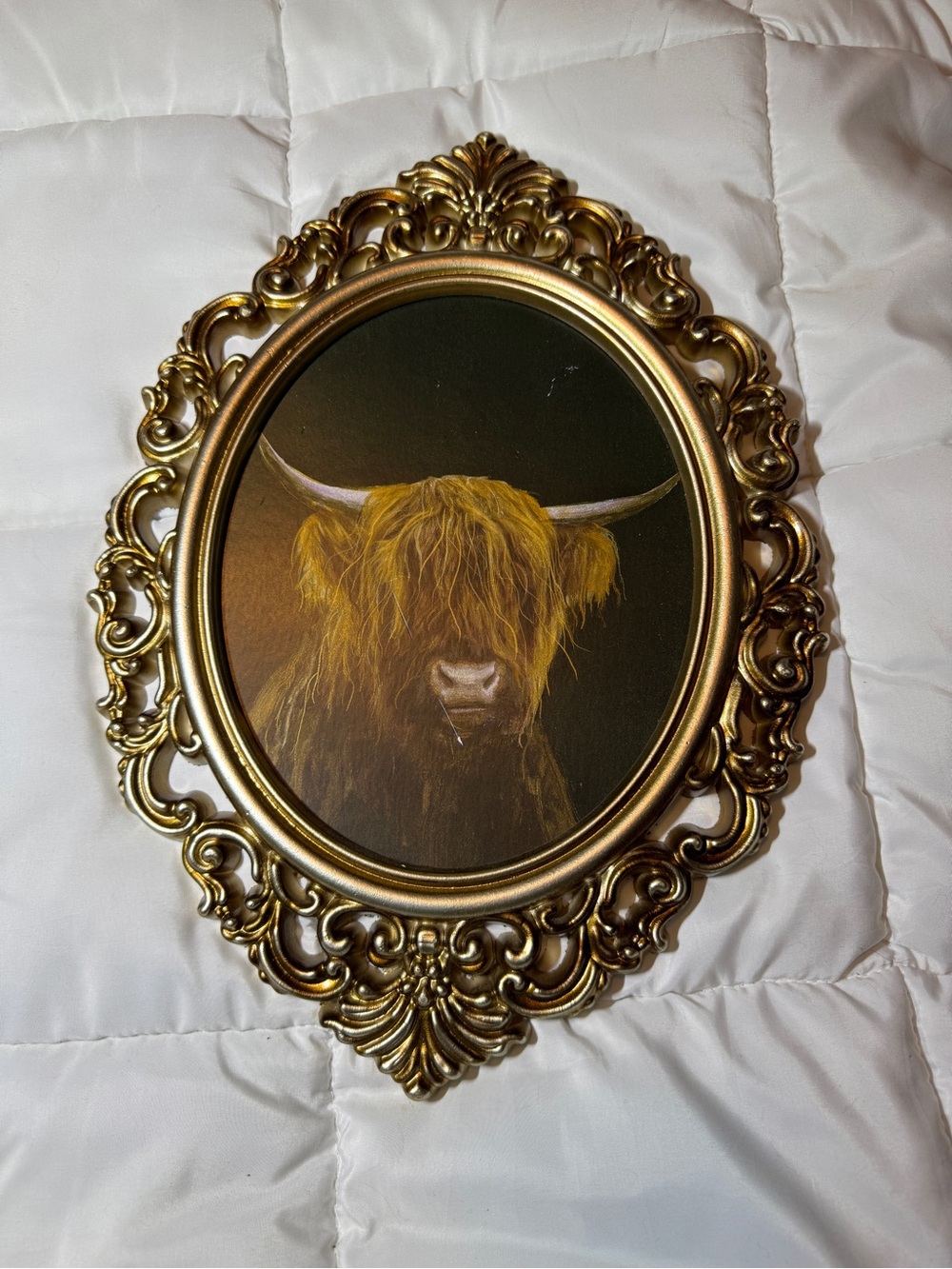 Ornate Gold Framed Highland Cow Wall Art - Home Accents